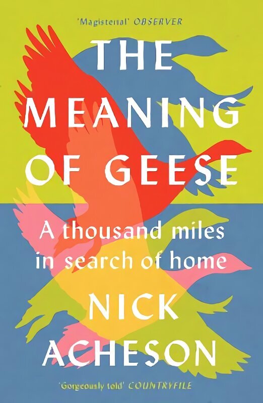 The Meaning of Geese: A Thousand Miles in Search of Home цена и информация | Tervislik eluviis ja toitumine | kaup24.ee