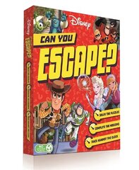 Disney: Can you Escape? цена и информация | Книги для подростков и молодежи | kaup24.ee