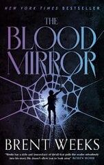Blood Mirror: Book Four of the Lightbringer series цена и информация | Фантастика, фэнтези | kaup24.ee