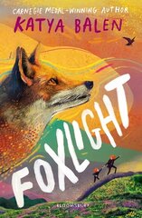 Foxlight цена и информация | Книги для подростков и молодежи | kaup24.ee