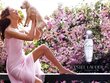 Naiste parfüüm Pleasures Estee Lauder EDP: Maht - 100 ml цена и информация | Naiste parfüümid | kaup24.ee