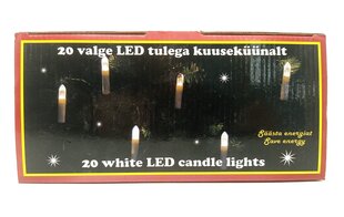 Kuuseküünlad, 20 LED, vahe 40cm, soe valge, voolutoide цена и информация | Гирлянды | kaup24.ee