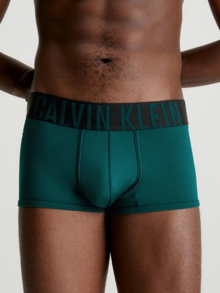 Püksid meestele Calvin Klein 545665286, kollane/roheline, 2 tk. hind ja info | Meeste aluspesu | kaup24.ee