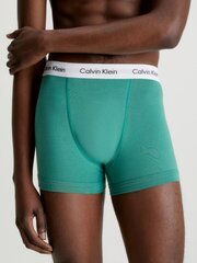 CALVIN KLEIN Trunk 3pk Chc Htr 545665277 цена и информация | Мужские трусы | kaup24.ee