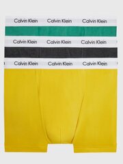 Calvin Klein aluspüksid meestele 545665277, erinevad värvid, 3 tk. hind ja info | Meeste aluspesu | kaup24.ee