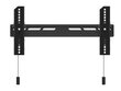 Multibrackets MB-6560 OLED TV Wallmount up to 32-65" / 50kg цена и информация | Teleri seinakinnitused ja hoidjad | kaup24.ee