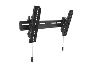 Multibrackets MB-6560 OLED Настенное ТВ крепление 32-65" / 50kg цена и информация | Кронштейны и крепления для телевизоров | kaup24.ee