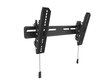 Multibrackets MB-6560 OLED TV Wallmount up to 32-65" / 50kg цена и информация | Teleri seinakinnitused ja hoidjad | kaup24.ee