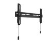 Multibrackets MB-6553 OLED OLED TV Wallmount up to 32-65" / 50kg цена и информация | Teleri seinakinnitused ja hoidjad | kaup24.ee