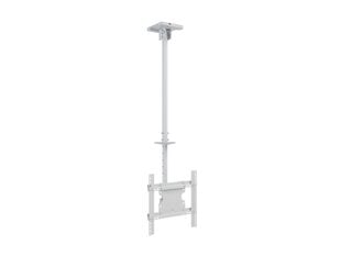 Multibrackets MB-2494 TV Ceiling mount up to 55" / 70kg цена и информация | Кронштейны и крепления для телевизоров | kaup24.ee