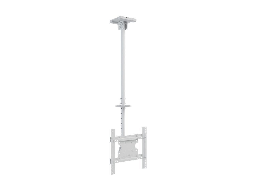 Multibrackets MB-2494 TV Ceiling mount up to 55" / 70kg hind ja info | Teleri seinakinnitused ja hoidjad | kaup24.ee