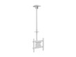 Multibrackets MB-2494 TV Ceiling mount up to 55" / 70kg hind ja info | Teleri seinakinnitused ja hoidjad | kaup24.ee