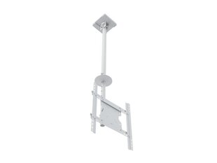 Multibrackets MB-2494 TV Ceiling mount up to 55" / 70kg цена и информация | Кронштейны и крепления для телевизоров | kaup24.ee