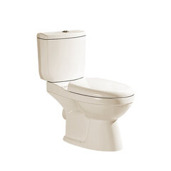 WC-pott Gotland Irida, tahavooluga 3/6l, PP Soft Close, Ivory цена и информация | Унитазы | kaup24.ee