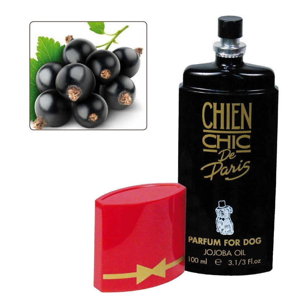 Chien Chic parfüüm loomadele, sõstralõhnaline, 100 ml hind ja info | Karvahooldustooted loomadele | kaup24.ee