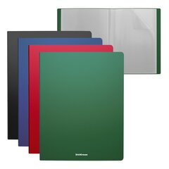 Menüükaaned A4 10 taskut Matt Classic, 4 värvi assortii hind ja info | Kirjatarbed | kaup24.ee