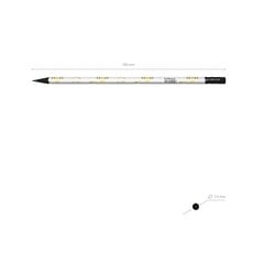 Harilik pliiats kolmnurkne Magic Sky HB, kustutuskummiga, 42 tk plasttopsis hind ja info | Kirjatarbed | kaup24.ee
