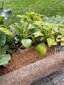 Kookoskiust vaip aeda, BioProffa, 3 m x 0,6 m hind ja info | Dekoratsioonid | kaup24.ee