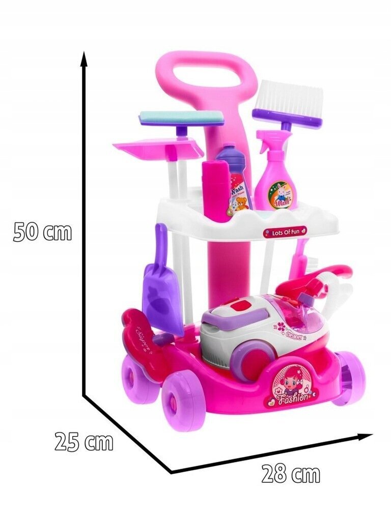 Laste tolmuimeja komplekt Toysi Agd hind ja info | Arendavad mänguasjad | kaup24.ee