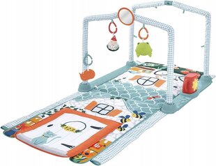 Hariv võimlemismatt Mitmevärviline beebidele Fisher-Price HJK45 hind ja info | Tegelustekid | kaup24.ee