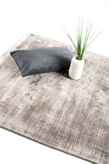 Vaip Nature 160x230cm, lilla/hõbehall hind ja info | Vaibad | kaup24.ee