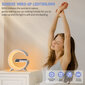 Nutikas juhtmevaba laadija, lamp, äratuskell Livman N69 hind ja info | Mobiiltelefonide laadijad | kaup24.ee