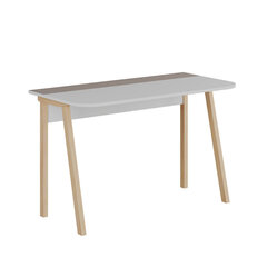 Стол Asir, 120x75x60см, белый цена и информация | Компьютерные, письменные столы | kaup24.ee