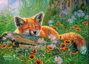 Пазл Foxy Dreams, 100 деталей цена и информация | Пазлы | kaup24.ee