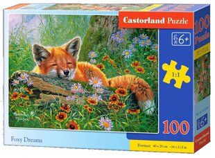 Pusle Castorland, 100 tk, Foxy Dreams hind ja info | Pusled | kaup24.ee