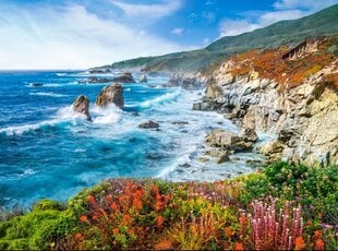 Pusle Castorland, 2000 tk, Big Sur Coastline, California, USA цена и информация | Пазлы | kaup24.ee