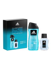 Kinkekomplekt Adidas Ice Dive meestele: tualettvesi Edt, 50 ml + dušigeel, 250 ml hind ja info | Meeste parfüümid | kaup24.ee