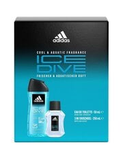 Kinkekomplekt Adidas Ice Dive meestele: tualettvesi Edt, 50 ml + dušigeel, 250 ml цена и информация | Мужские духи | kaup24.ee