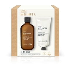 Kinkekomplekt Baylis & Harding Wellness Luxury Body Care: kehapesuvahend 300 ml + käte- ja ihupiim, 200 ml цена и информация | Кремы, лосьоны для тела | kaup24.ee