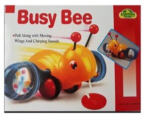 Busy Bee nöörist tõmmatav mesilane цена и информация | Игрушки для малышей | kaup24.ee