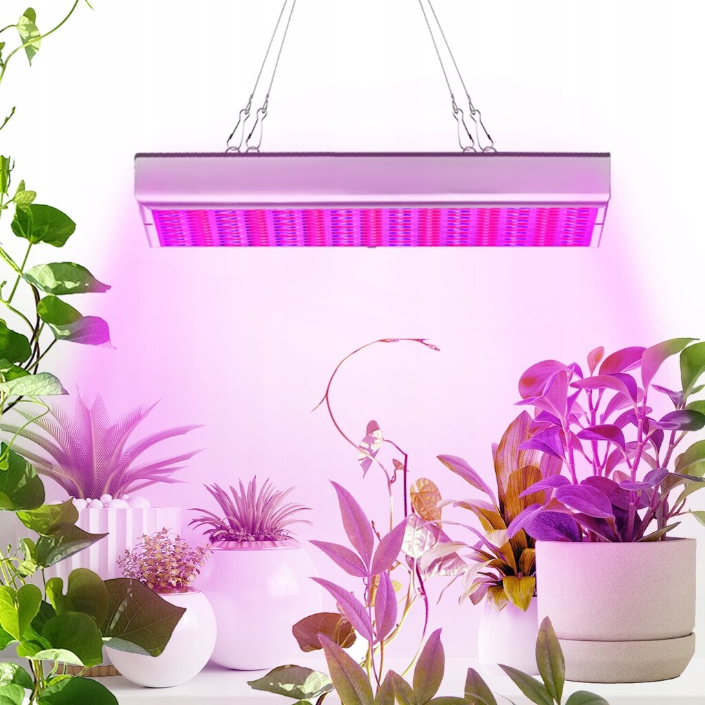 Lamp taimedele Gardlov, 45 W, 225 LED, 31x 31x 3,5 cm цена и информация | Nutipotid ja taimelambid | kaup24.ee