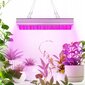 Lamp taimedele Gardlov, 45 W, 225 LED, 31x 31x 3,5 cm hind ja info | Nutipotid ja taimelambid | kaup24.ee