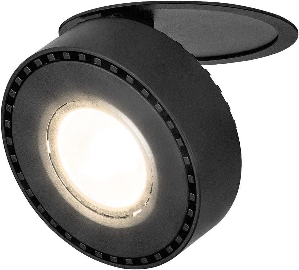 LED laevalgusti Dr.lazy, 12W, must hind ja info | Laelambid | kaup24.ee