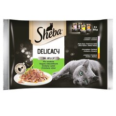 Sheb Fine Flakes in Jelly komplekt liha ja kalaga, 13x4x85g hind ja info | Konservid kassidele | kaup24.ee