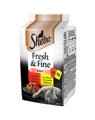 Sheba Fresh&Fine с курицей, уткой и говядиной, 6х50 г цена и информация | Кошачьи консервы | kaup24.ee