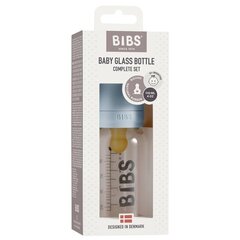 Klaasist lutipudel Bibs, 110 ml, 0+ kuud цена и информация | Бутылочки и аксессуары | kaup24.ee