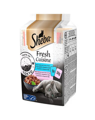 Sheba Fresh Cuisine Taste of Tokyo для взрослых кошек с тунцом и рисом, с лососем и рисом, 12x(6x50г) цена и информация | Кошачьи консервы | kaup24.ee