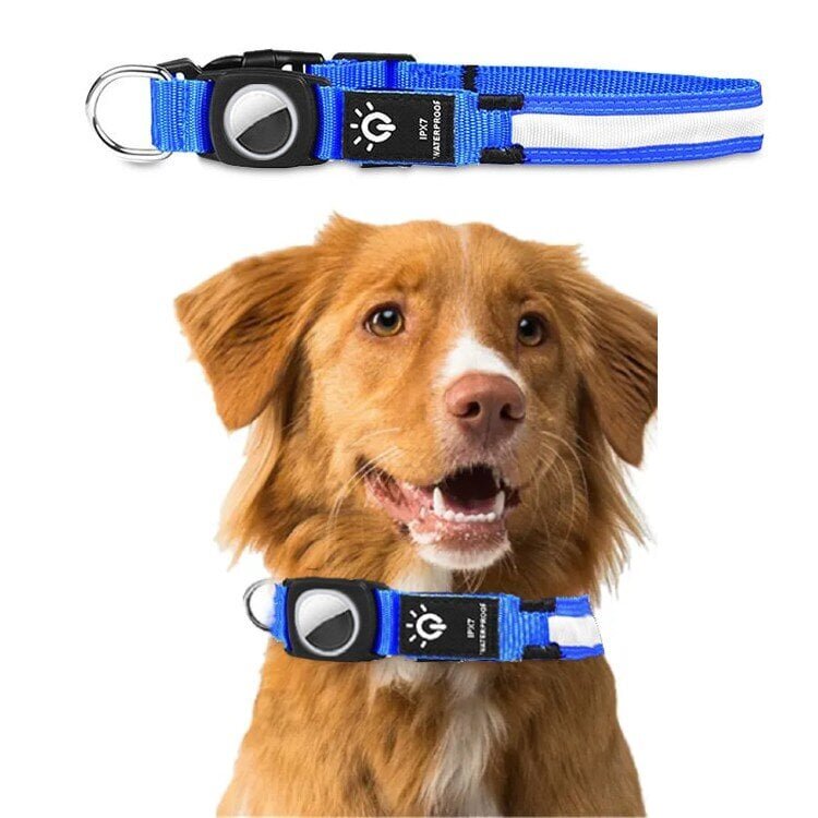 LED valgustusega koera kaelarihm AirTagi hoidjaga, sinine цена и информация | Kaelarihmad ja traksid koertele | kaup24.ee