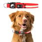 LED valgustusega koera kaelarihm AirTagi hoidjaga, punane hind ja info | Kaelarihmad ja traksid koertele | kaup24.ee