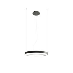 Chandelier RIO 55 black 3000K THORO TH.106 цена и информация | Люстры | kaup24.ee