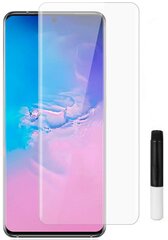 Evelatus Clear Glass UV + Samsung Galaxy S20 Ultra цена и информация | Защитные пленки для телефонов | kaup24.ee