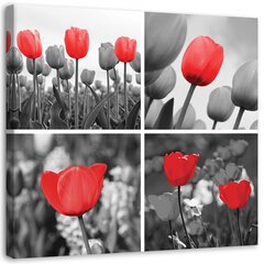 Seinapilt Punaste tulpide komplekt цена и информация | Картины, живопись | kaup24.ee