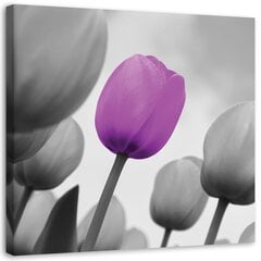 Seinapilt Violetne tulp цена и информация | Картины, живопись | kaup24.ee