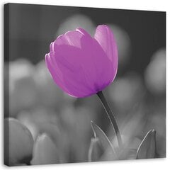 Seinapilt Violetne tulp цена и информация | Картины, живопись | kaup24.ee