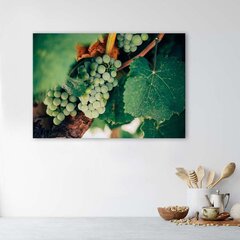 Seinapilt Rohelised viinamarjad цена и информация | Картины, живопись | kaup24.ee
