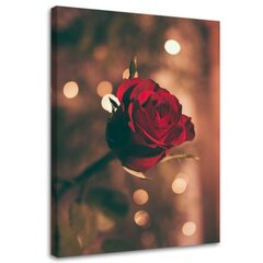 Seinapilt Punane lill цена и информация | Картины, живопись | kaup24.ee